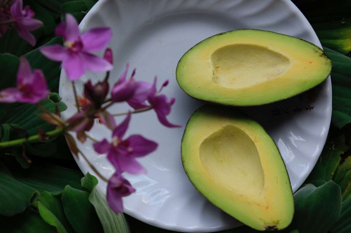 avocados%20may%20prevent%20cancer.jpg